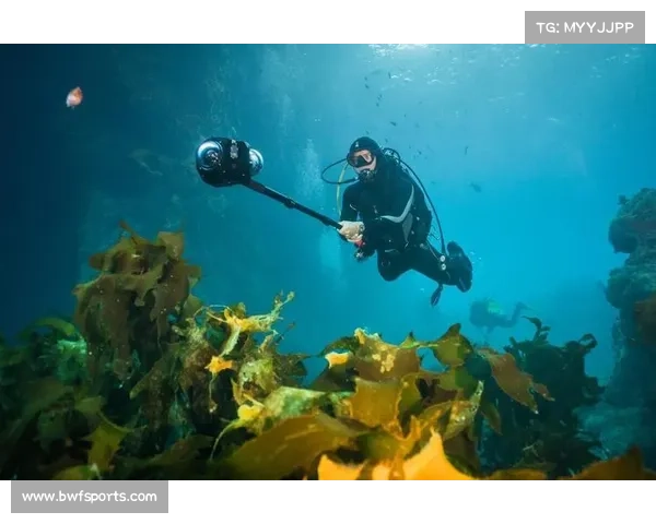 美人鱼运动进入虚拟现实 VR训练系统模拟洋流助力水下运动员训练突破